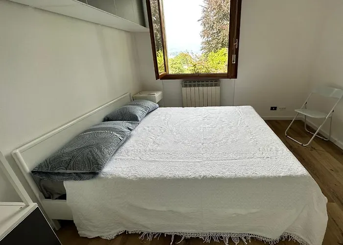 Pallavicino - Il Faggio Rosso * Stresa